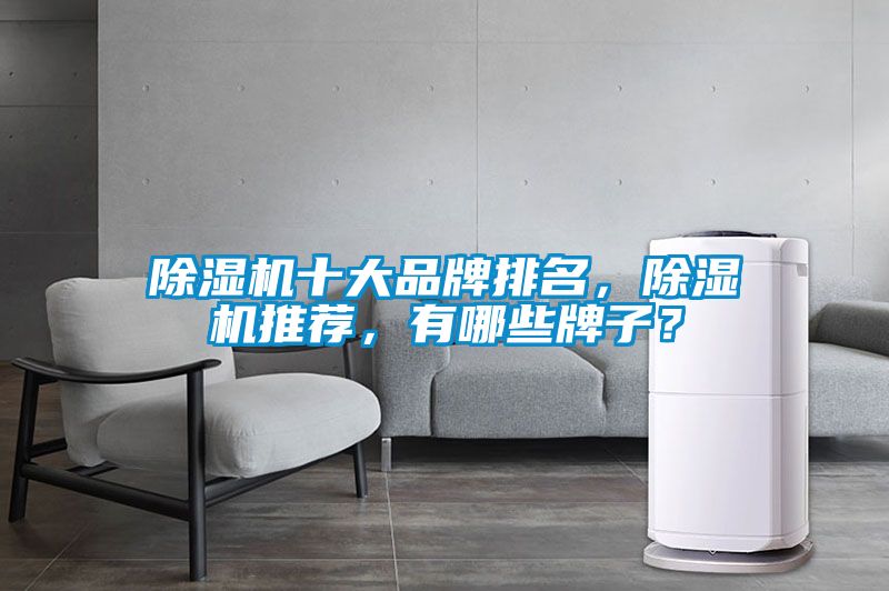 除濕機(jī)十大品牌排名，除濕機(jī)推薦，有哪些牌子？