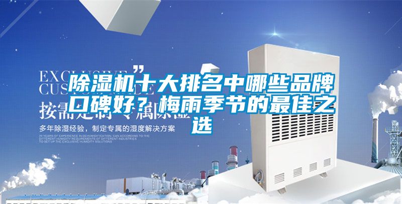 除濕機(jī)十大排名中哪些品牌口碑好？梅雨季節(jié)的最佳之選