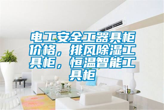 電工安全工器具柜價格，排風除濕工具柜，恒溫智能工具柜
