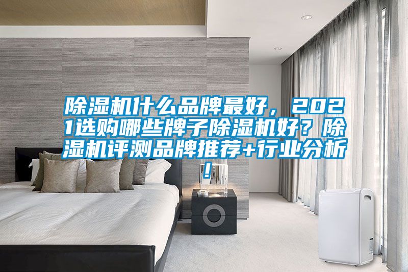 除濕機什么品牌最好,2021選購哪些牌子除濕機好?除濕機評測品牌推薦+行業(yè)分析!