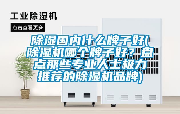 除濕國內什么牌子好(除濕機哪個牌子好？盤點那些專業人士極力推薦的除濕機品牌)