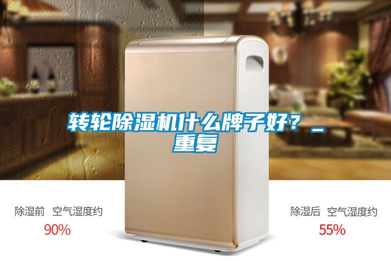 轉輪除濕機什么牌子好?_重復