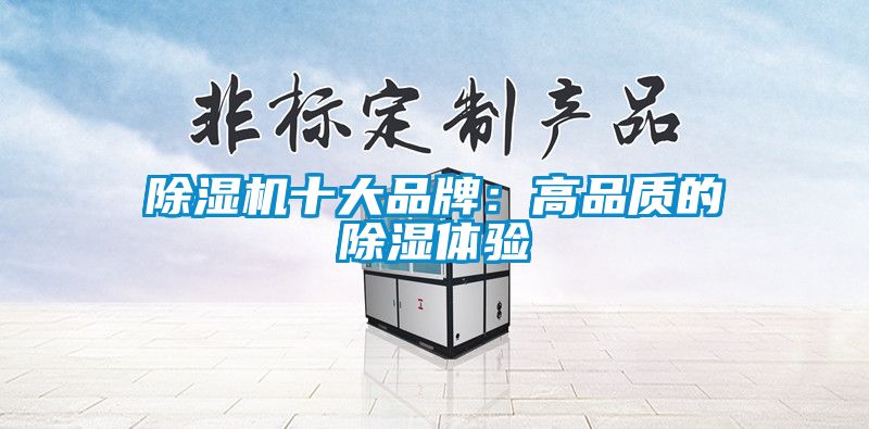 除濕機十大品牌:高品質的除濕體驗