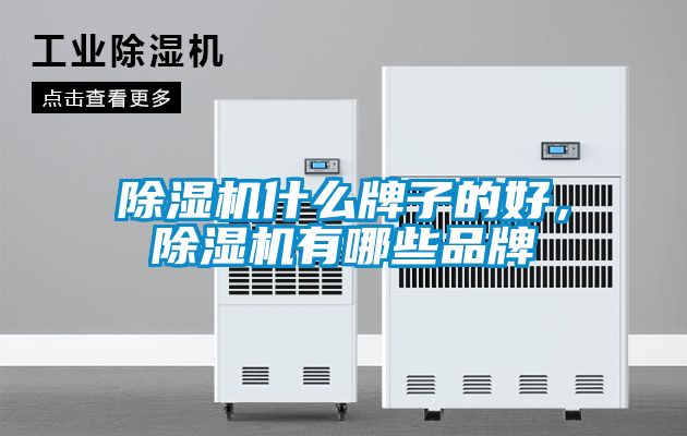 除濕機什么牌子的好,除濕機有哪些品牌
