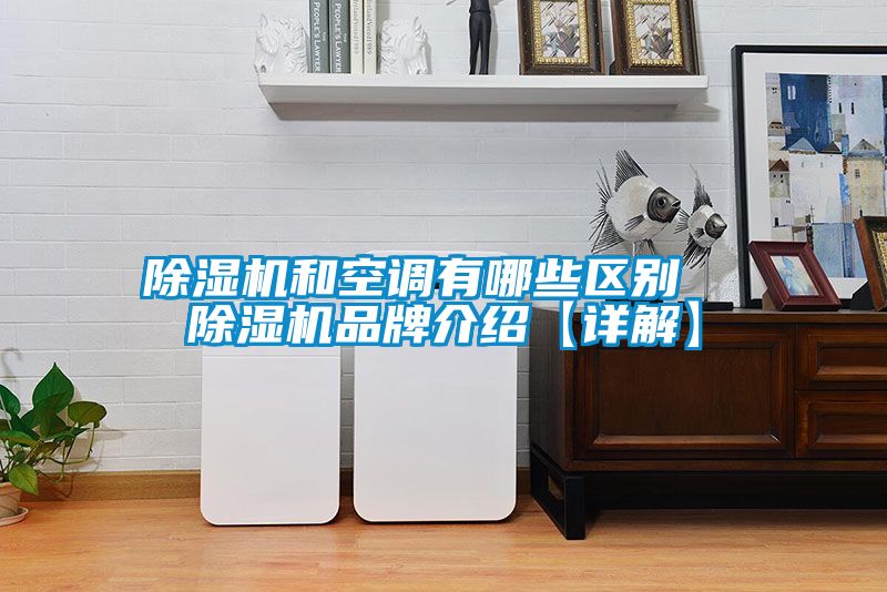 除濕機和空調有哪些區別  除濕機品牌介紹【詳解】