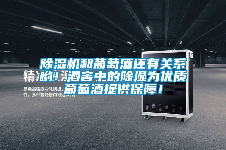 除濕機和葡萄酒還有關系喲！酒窖中的除濕為優質葡萄酒提供保障！