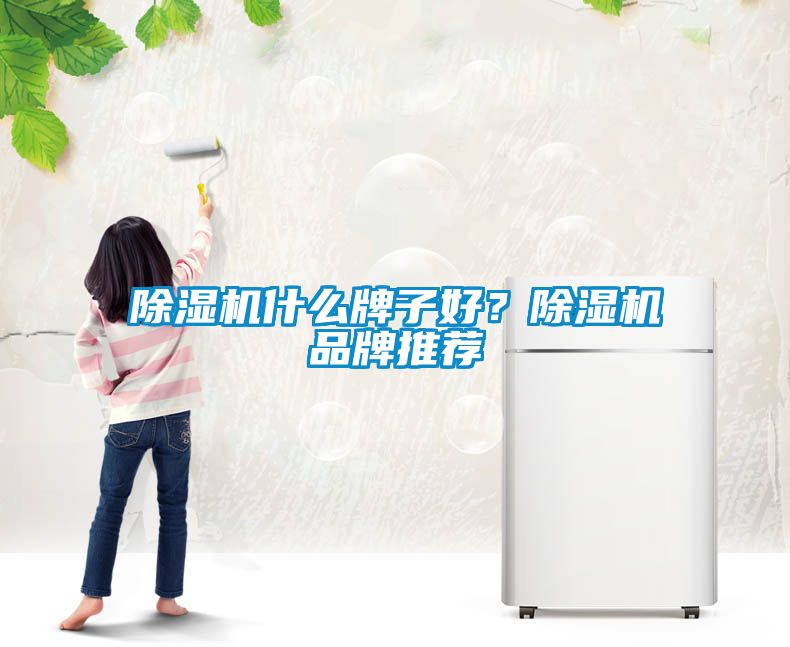 除濕機(jī)什么牌子好？除濕機(jī)品牌推薦