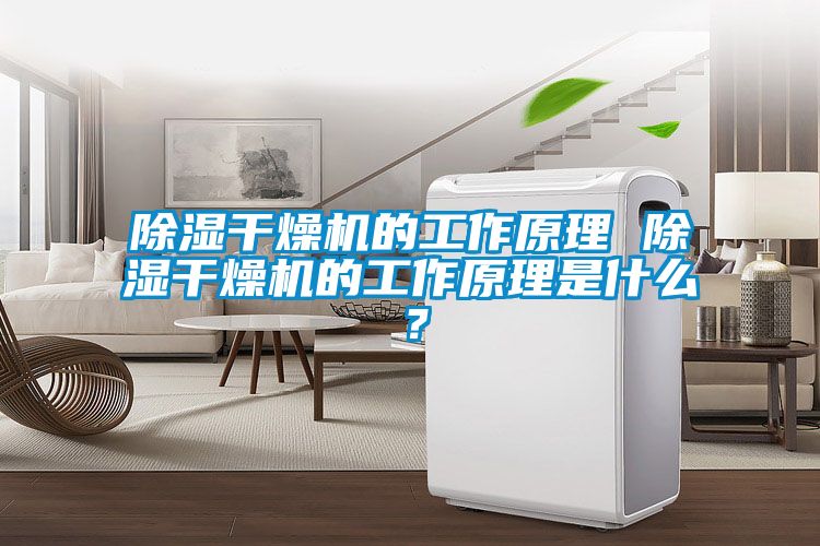 除濕干燥機的工作原理 除濕干燥機的工作原理是什么？