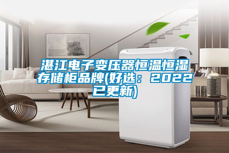 湛江電子變壓器恒溫恒濕存儲柜品牌(好選:2022已更新)