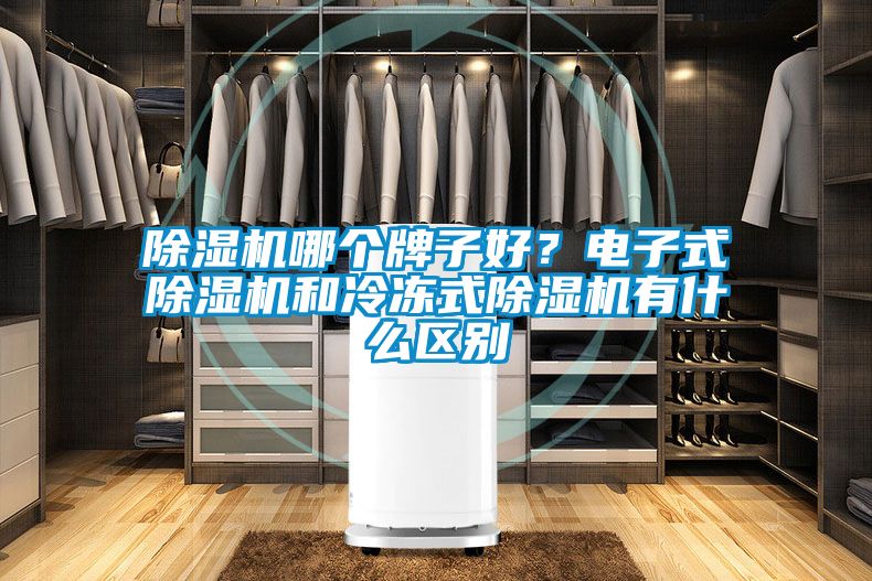 除濕機哪個牌子好？電子式除濕機和冷凍式除濕機有什么區別