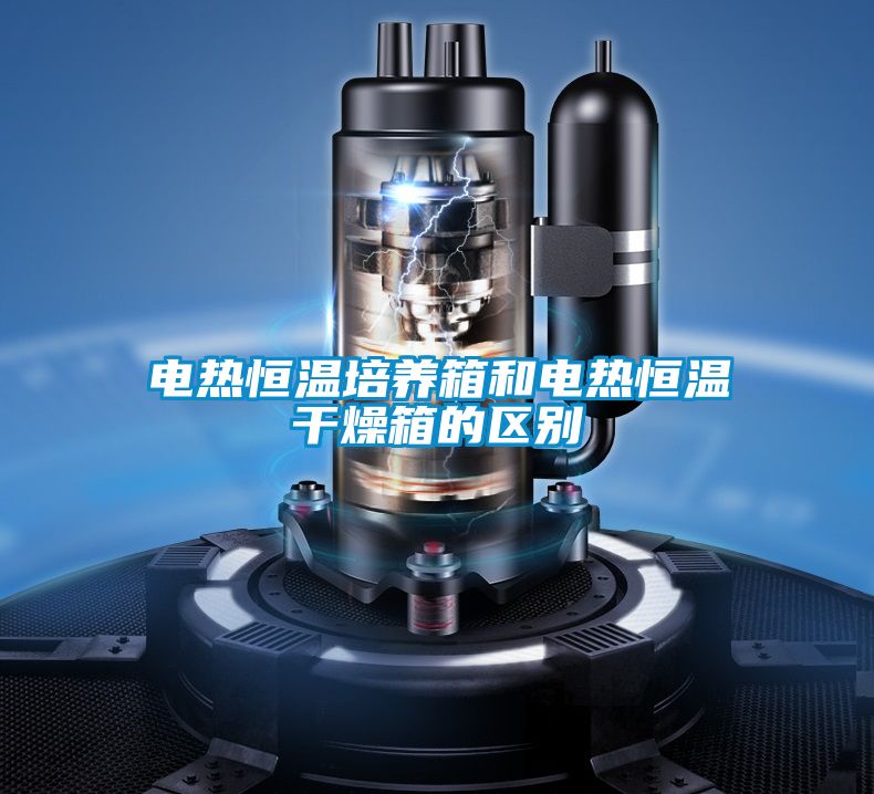 電熱恒溫培養箱和電熱恒溫干燥箱的區別