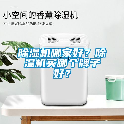 除濕機哪家好?除濕機買哪個牌子好?