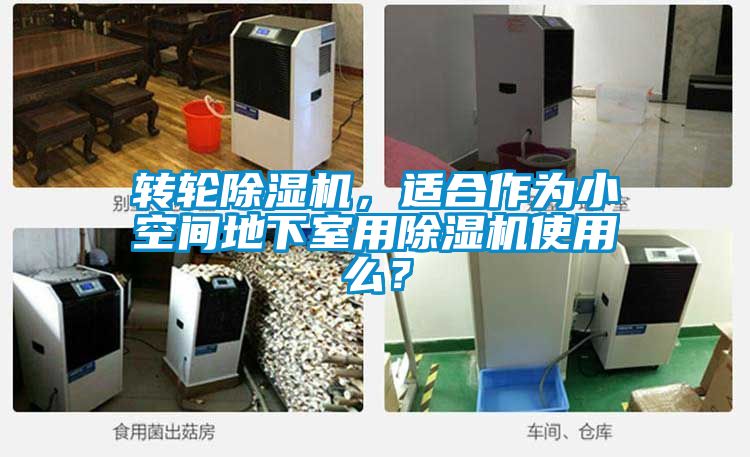 轉輪除濕機，適合作為小空間地下室用除濕機使用么？