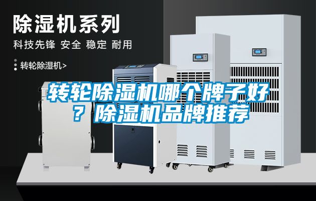 轉輪除濕機哪個牌子好?除濕機品牌推薦