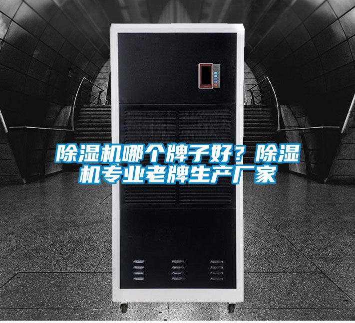 除濕機(jī)哪個(gè)牌子好?除濕機(jī)專(zhuān)業(yè)老牌生產(chǎn)廠家