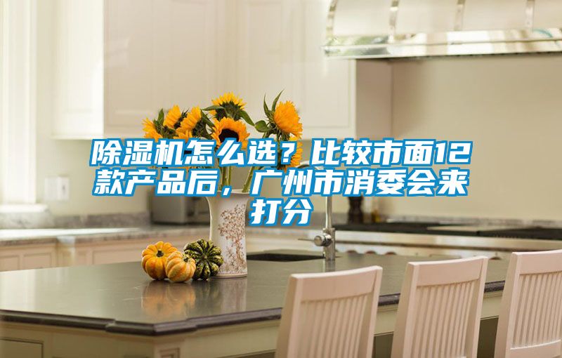 除濕機(jī)怎么選？比較市面12款產(chǎn)品后，廣州市消委會(huì)來(lái)打分