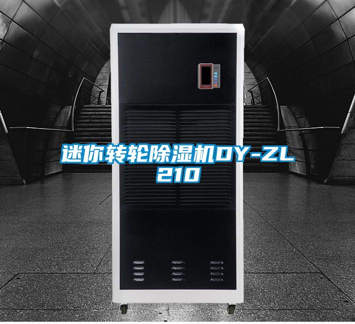 迷你轉(zhuǎn)輪除濕機DY-ZL210