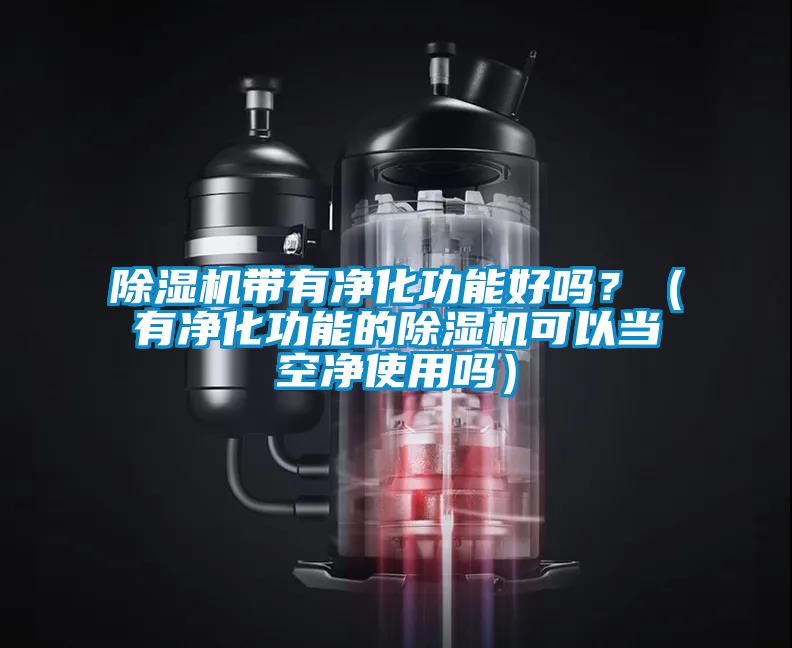 除濕機帶有凈化功能好嗎?(有凈化功能的除濕機可以當空凈使用嗎)