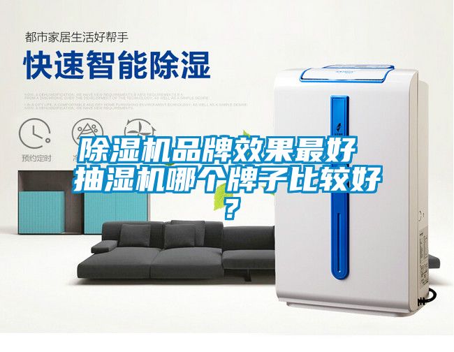 除濕機(jī)品牌效果最好 抽濕機(jī)哪個牌子比較好？