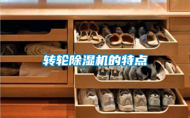 轉輪除濕機的特點