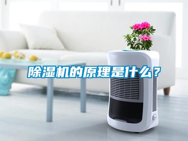 除濕機的原理是什么?