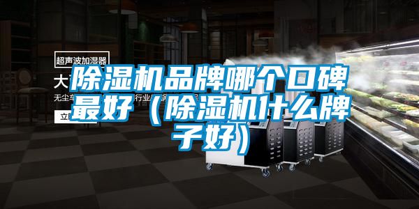 除濕機品牌哪個口碑最好(除濕機什么牌子好)