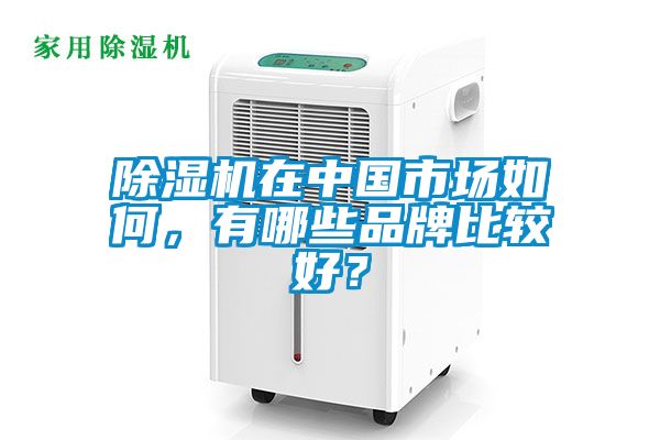 除濕機在中國市場如何，有哪些品牌比較好？