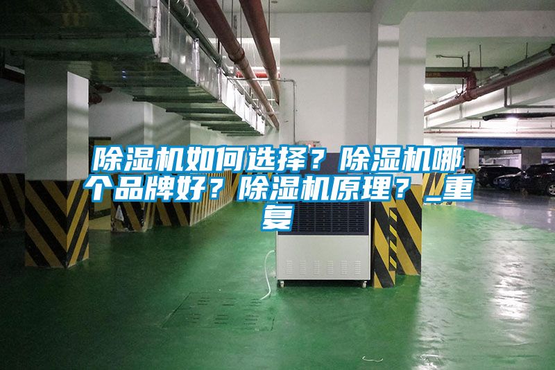除濕機如何選擇？除濕機哪個品牌好？除濕機原理？_重復