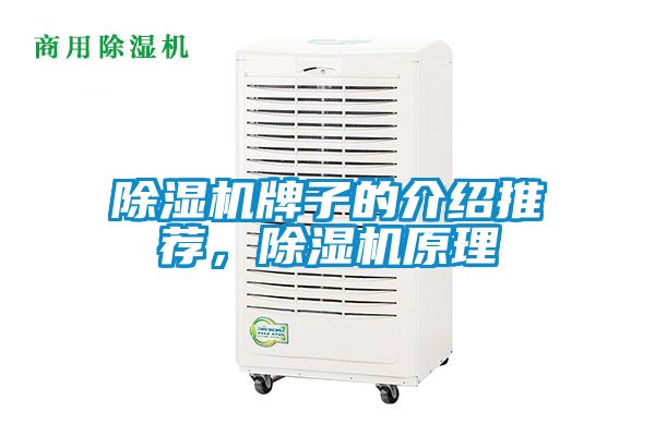 除濕機牌子的介紹推薦，除濕機原理