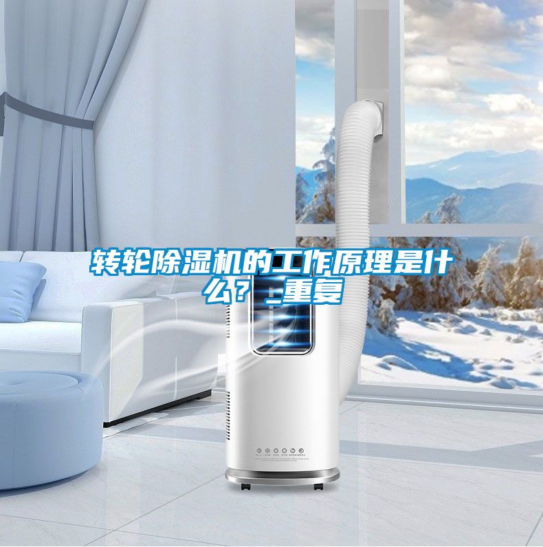 轉輪除濕機的工作原理是什么？_重復
