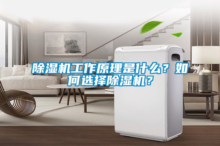 除濕機工作原理是什么？如何選擇除濕機？
