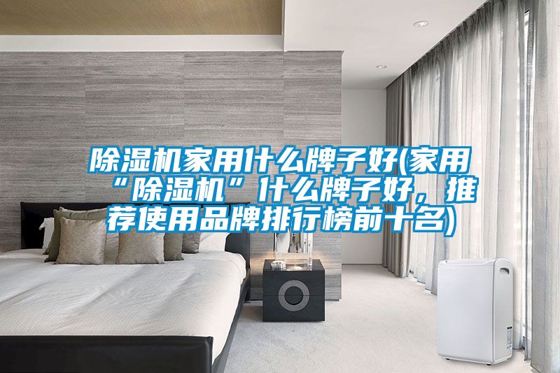 除濕機家用什么牌子好(家用“除濕機”什么牌子好，推薦使用品牌排行榜前十名)
