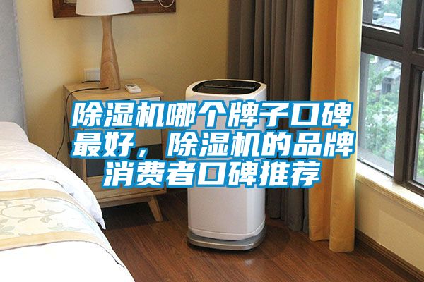 除濕機哪個牌子口碑最好，除濕機的品牌消費者口碑推薦