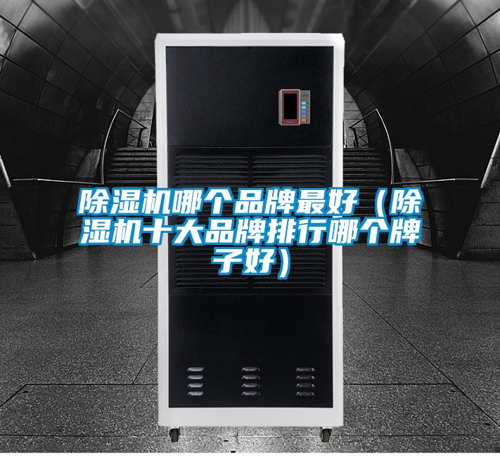 除濕機哪個品牌最好(除濕機十大品牌排行哪個牌子好)