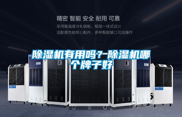 除濕機有用嗎？除濕機哪個牌子好