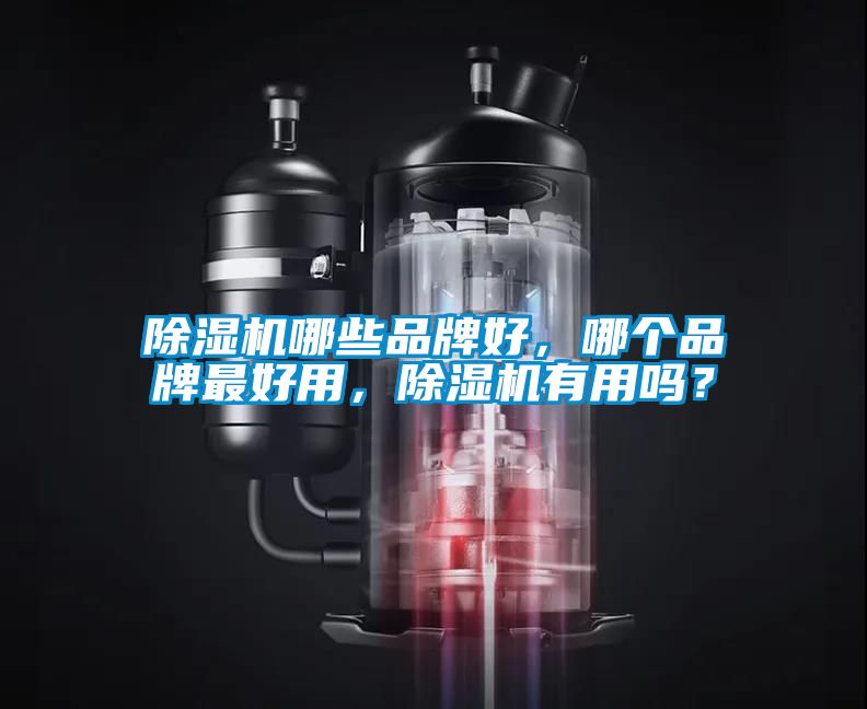 除濕機哪些品牌好,哪個品牌最好用,除濕機有用嗎?