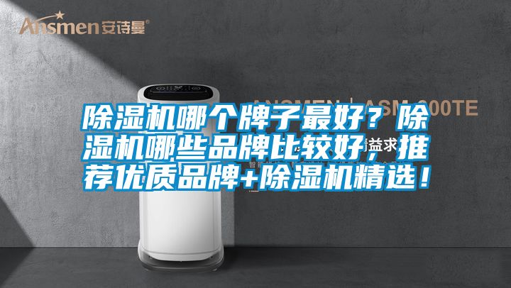 除濕機哪個牌子最好?除濕機哪些品牌比較好,推薦優質品牌+除濕機精選!