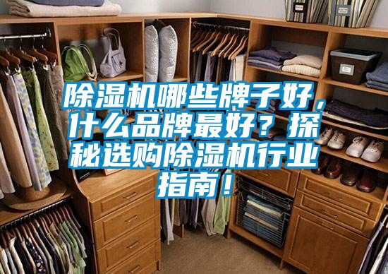 除濕機哪些牌子好，什么品牌最好？探秘選購除濕機行業指南！