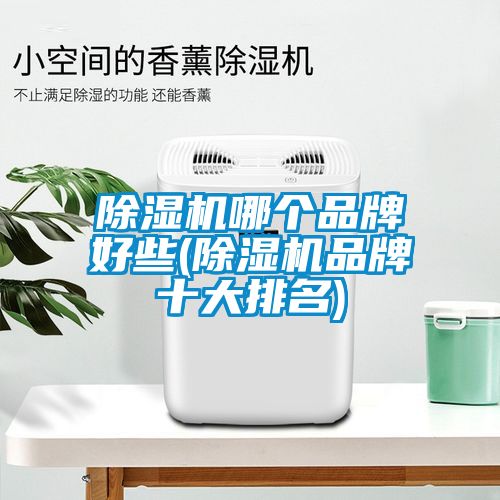 除濕機(jī)哪個品牌好些(除濕機(jī)品牌十大排名)