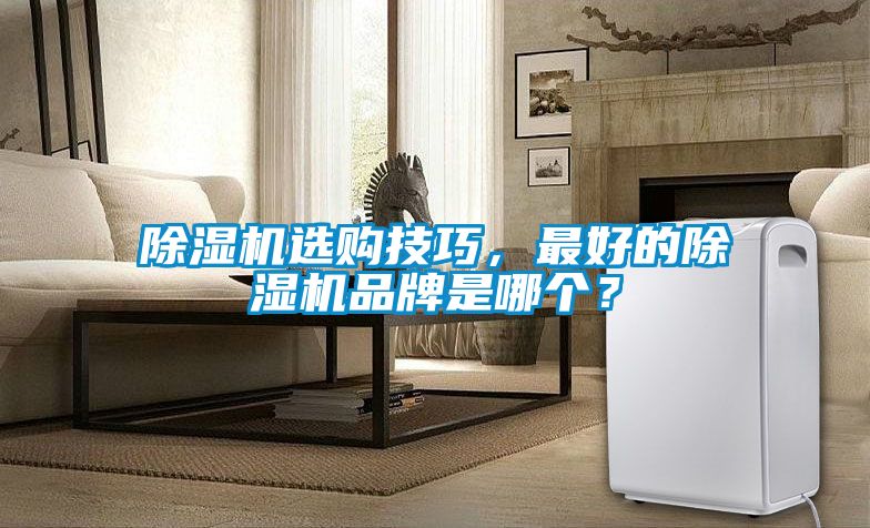除濕機選購技巧,最好的除濕機品牌是哪個?