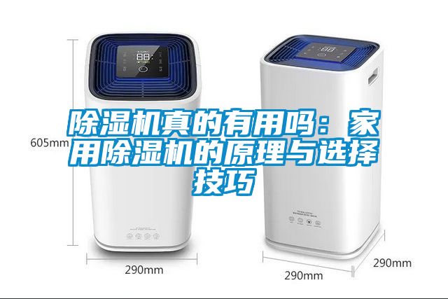 除濕機真的有用嗎:家用除濕機的原理與選擇技巧