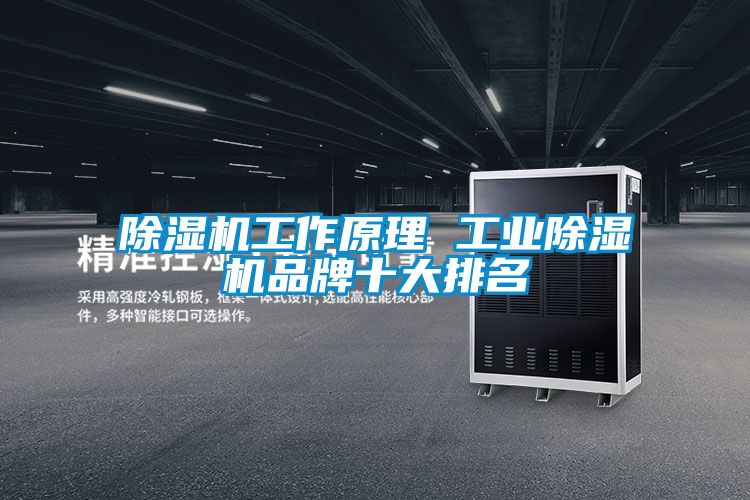 除濕機工作原理 工業除濕機品牌十大排名