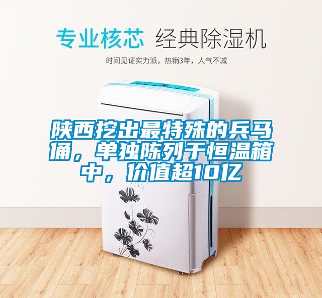 陜西挖出最特殊的兵馬俑，單獨陳列于恒溫箱中，價值超10億