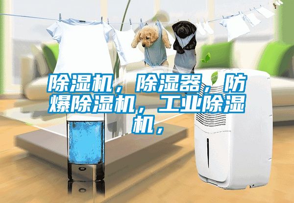 除濕機,除濕器,防爆除濕機,工業(yè)除濕機,