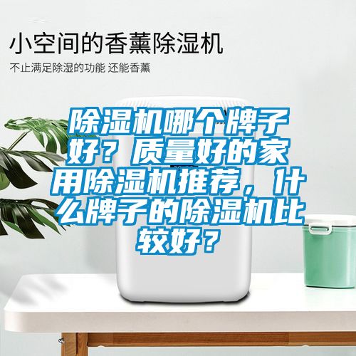 除濕機哪個牌子好？質量好的家用除濕機推薦，什么牌子的除濕機比較好？