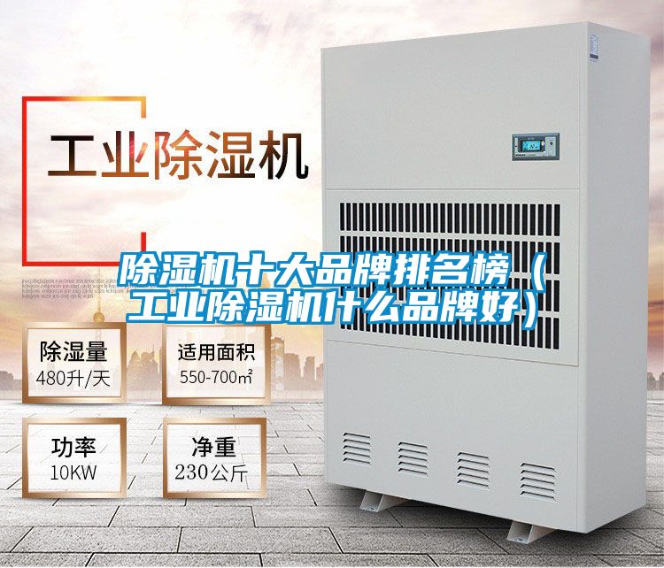 除濕機十大品牌排名榜(工業除濕機什么品牌好)