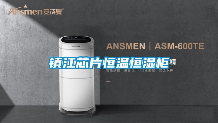 鎮(zhèn)江芯片恒溫恒濕柜