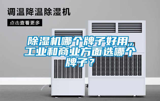 除濕機哪個牌子好用,工業和商業方面選哪個牌子?