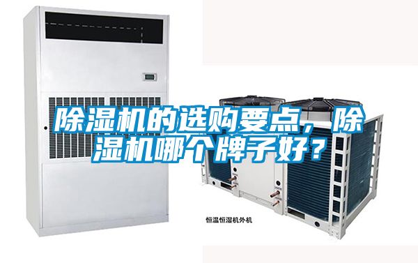 除濕機的選購要點，除濕機哪個牌子好？