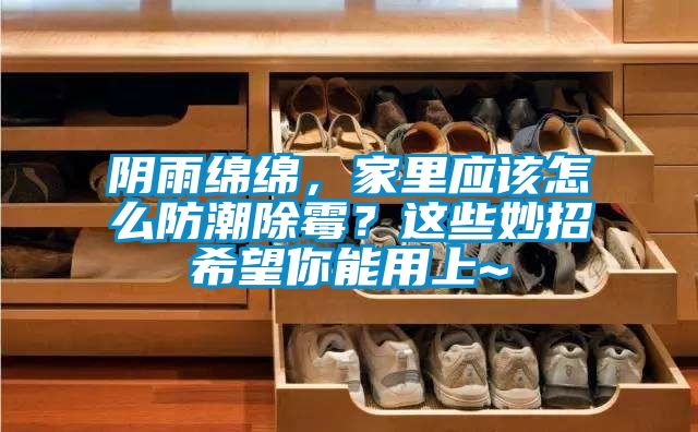 陰雨綿綿，家里應(yīng)該怎么防潮除霉？這些妙招希望你能用上~